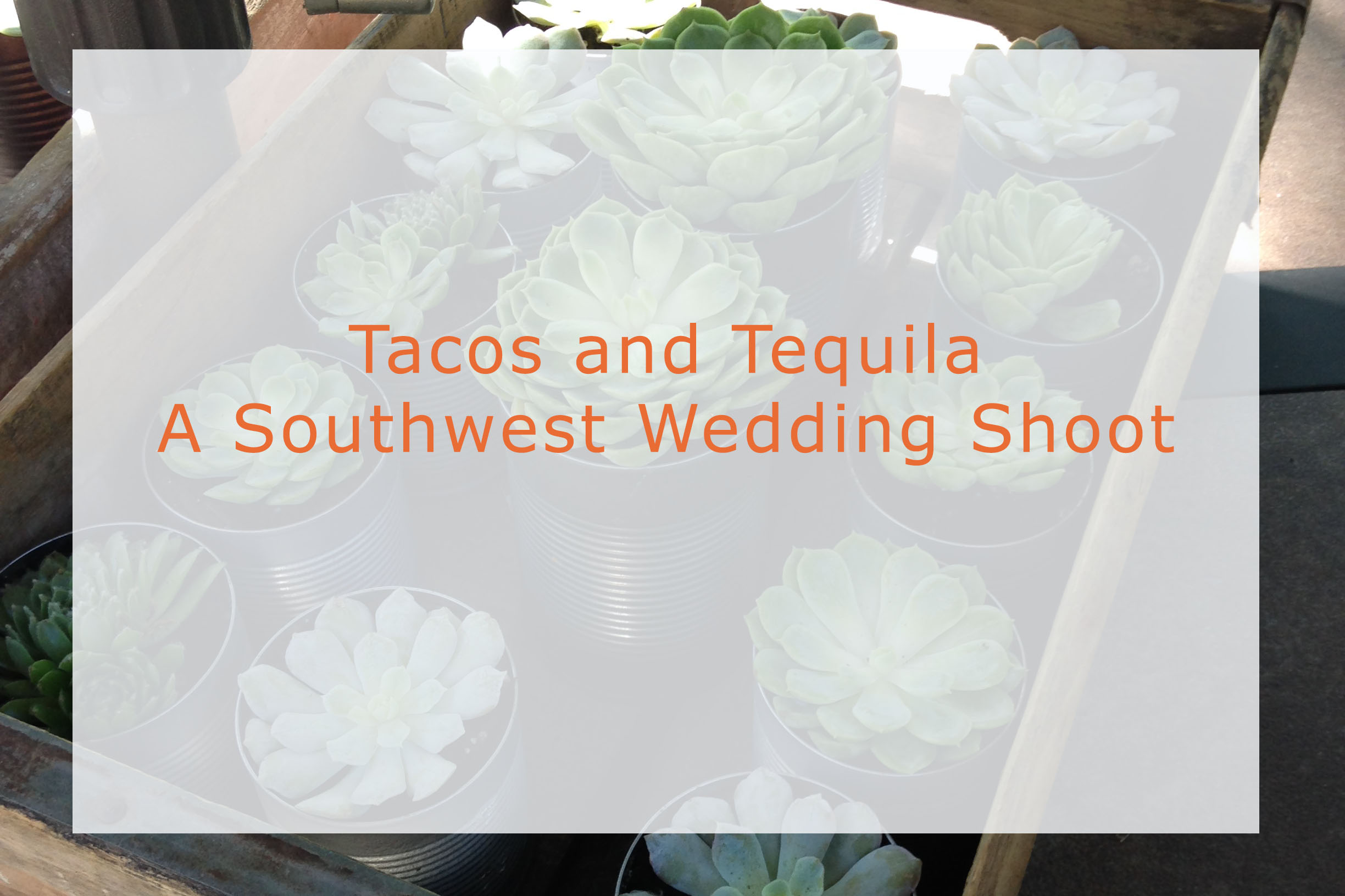 Tacos and Tequila | A Southwest Styled Shootout