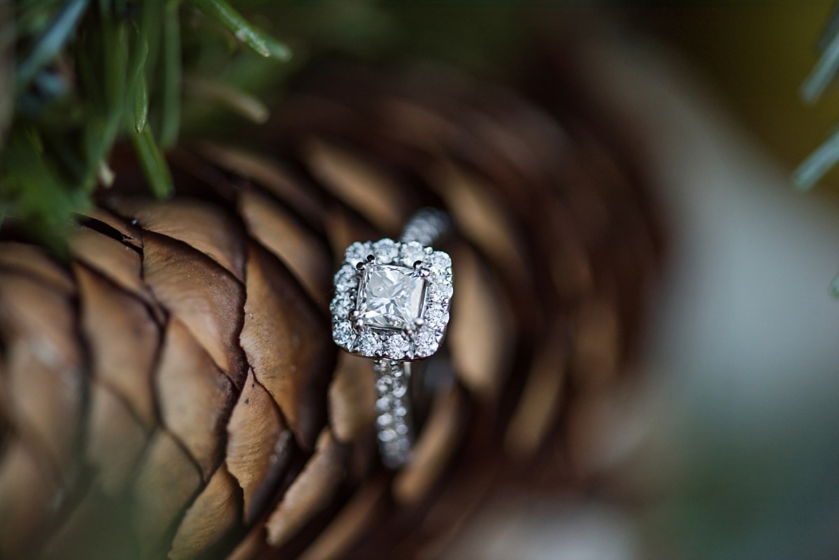 Colonial Williamsburg Christmas Engagement Ring on pine cone
