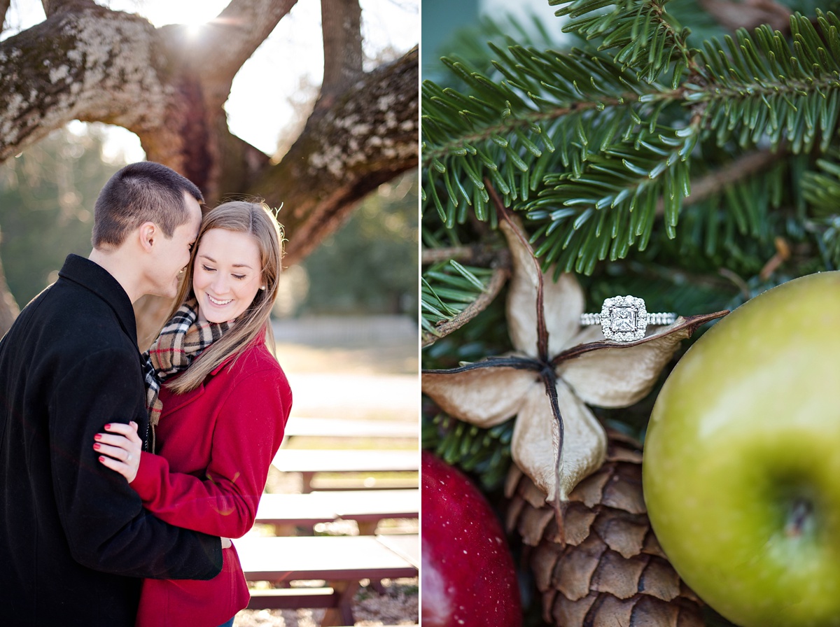 Colonial Williamsburg Burberry plaid and red Christmas Engagement Session