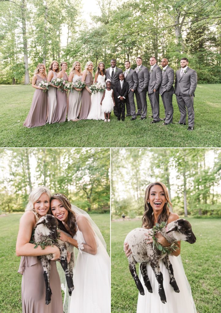 Bridal party portraits with lamb