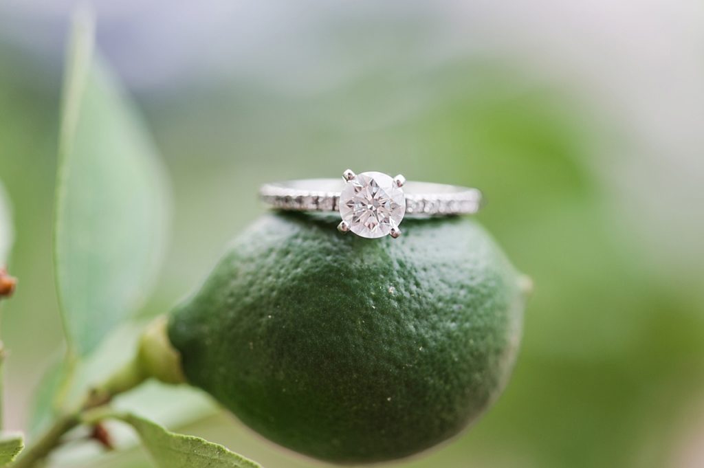 Engagement Ring on top of lime at Vecchia