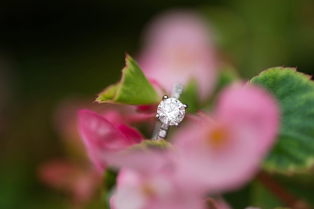 Engagement Ring in pink flowers