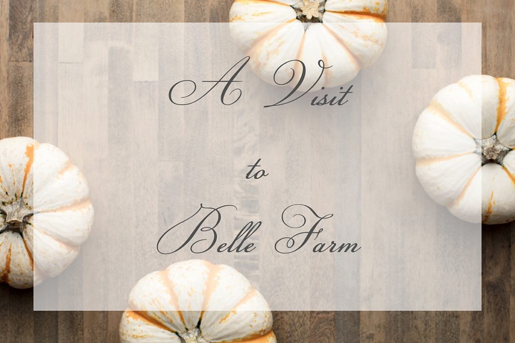 Belle Farm Alabama Wedding Venue