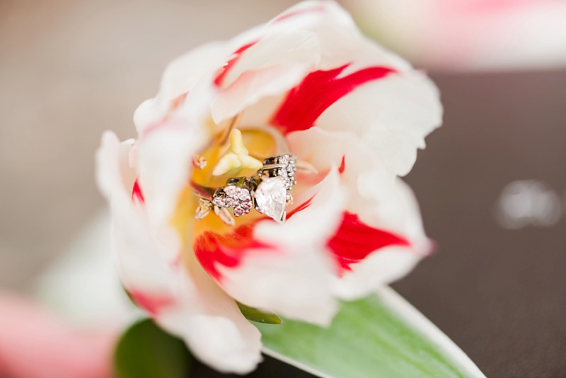 Heirloom ring placed in tulip for spring engagement session while hiking.
