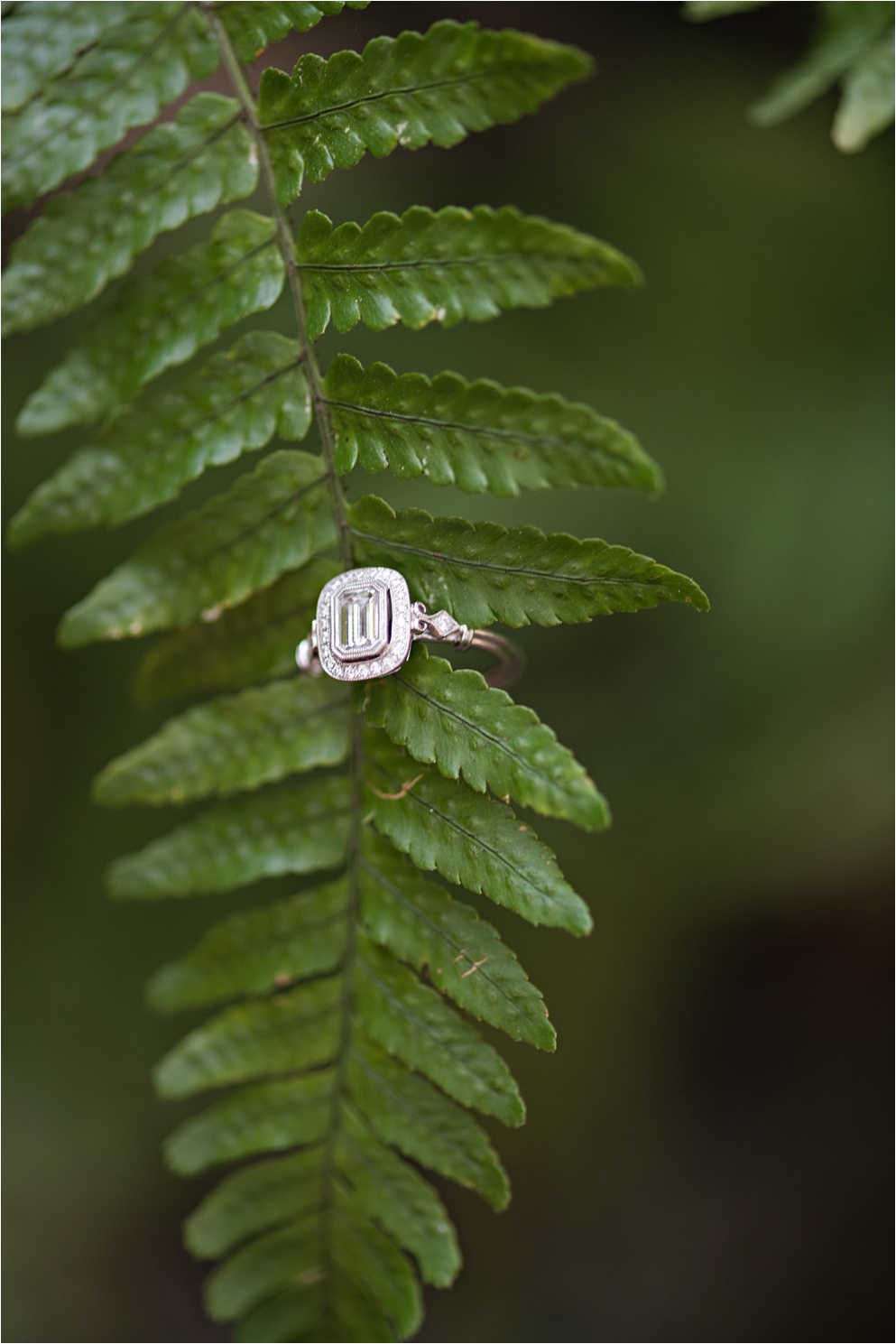 heirloom engagement ring at wormhole plantation engagement session
