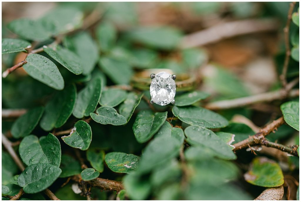 Diamond Engagement Ring in Savannah Georgia for spring engagement session with a UGA Alumni